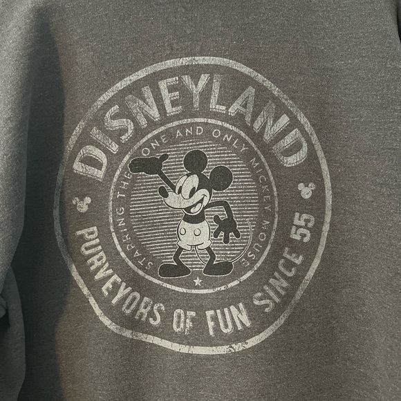 Disneyland park zip up sweatshirt with Mickey. Adult L. - Picture 4 of 6